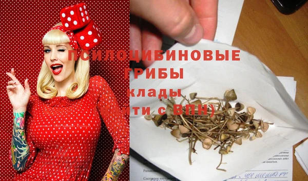 mdpv Балахна